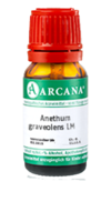 ANETHUM graveolens LM 3 Dilution